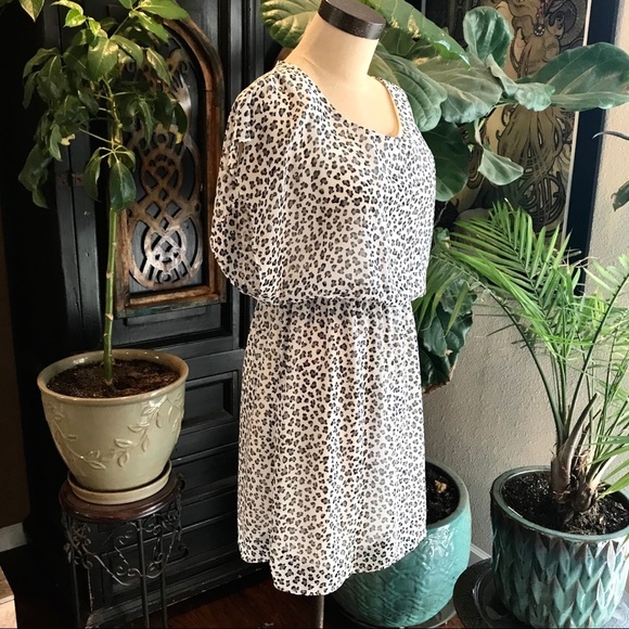 ASOS - Needle & Thread Francesca leopard chiffon - Picture 3 of 8